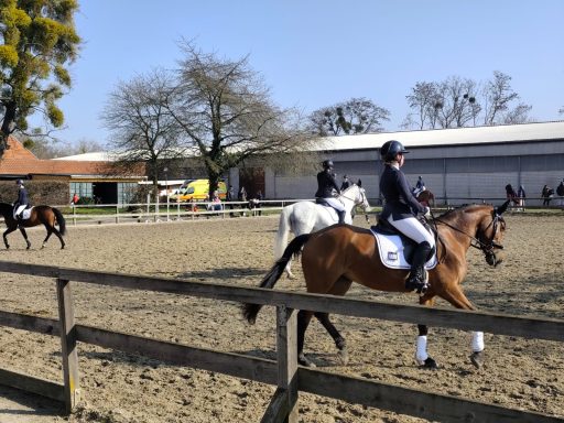 Sanitätsdienst bei Reitsportveranstaltungen
